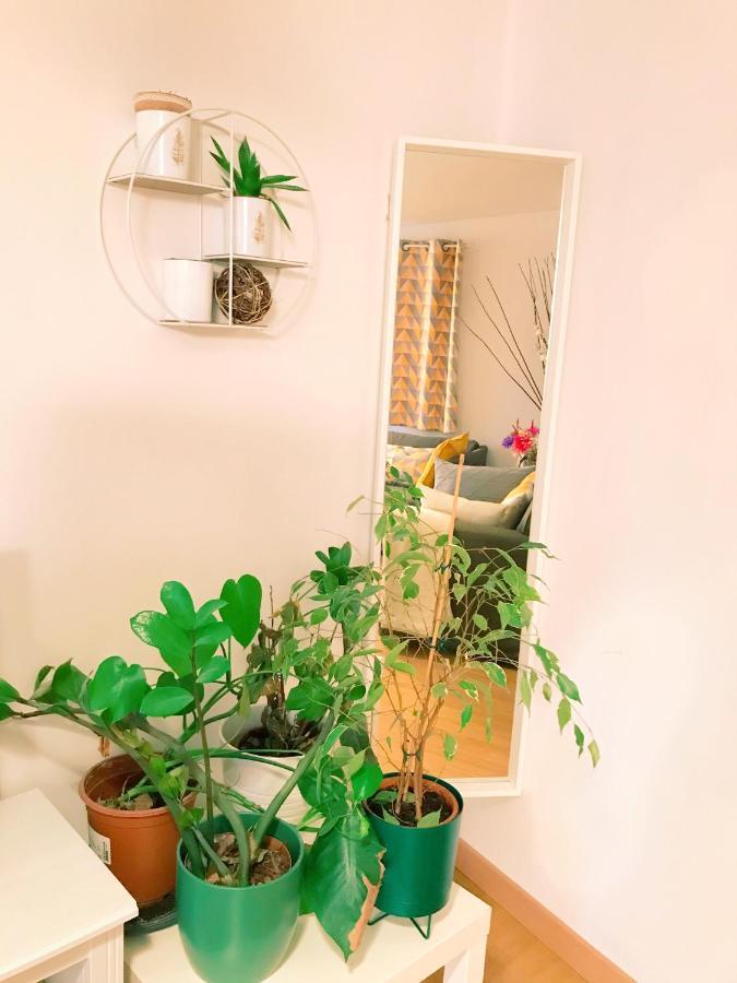אפט Appartement En Plein Centre Ville מראה חיצוני תמונה